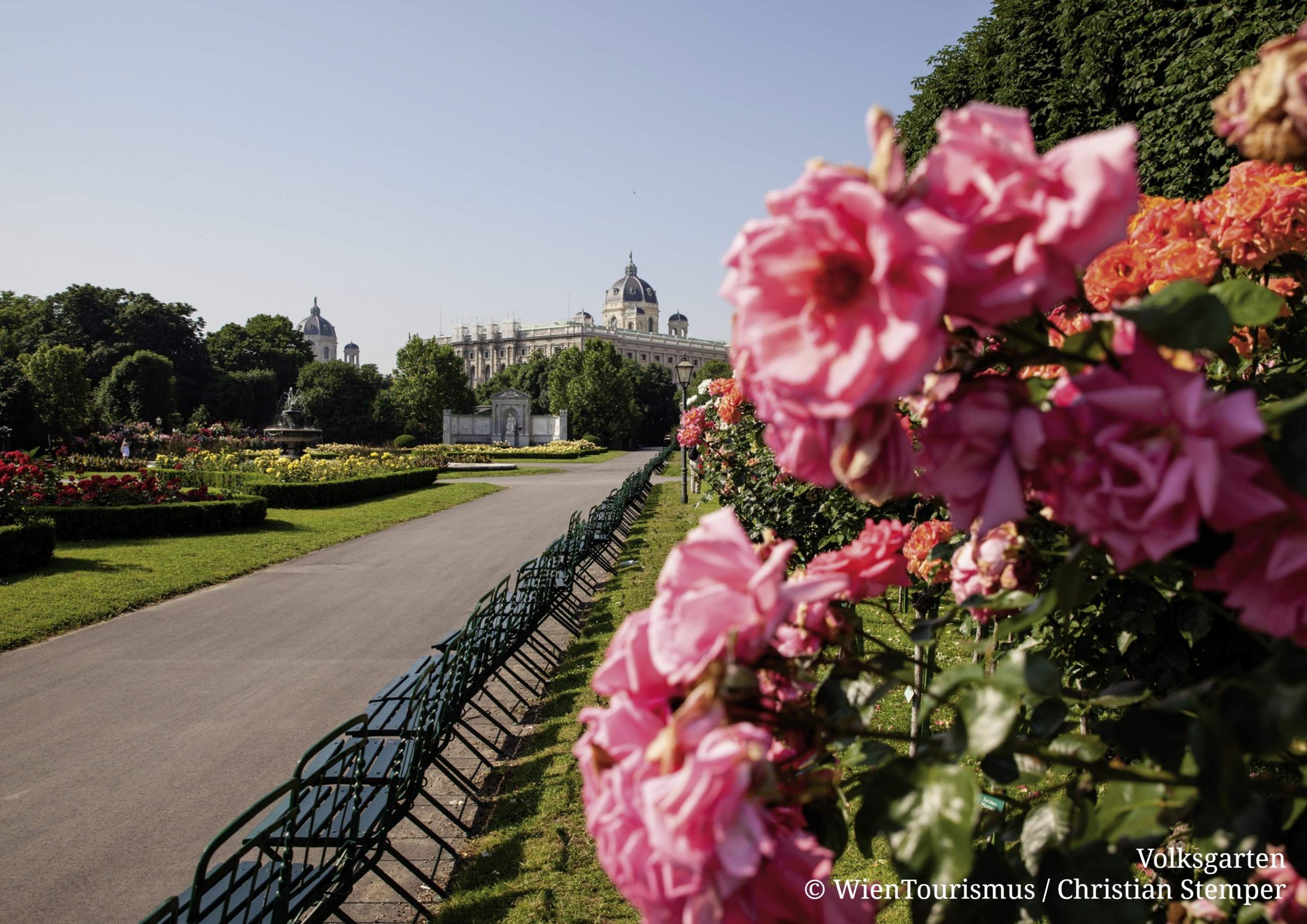 Rosen-Volksgarten-scaled