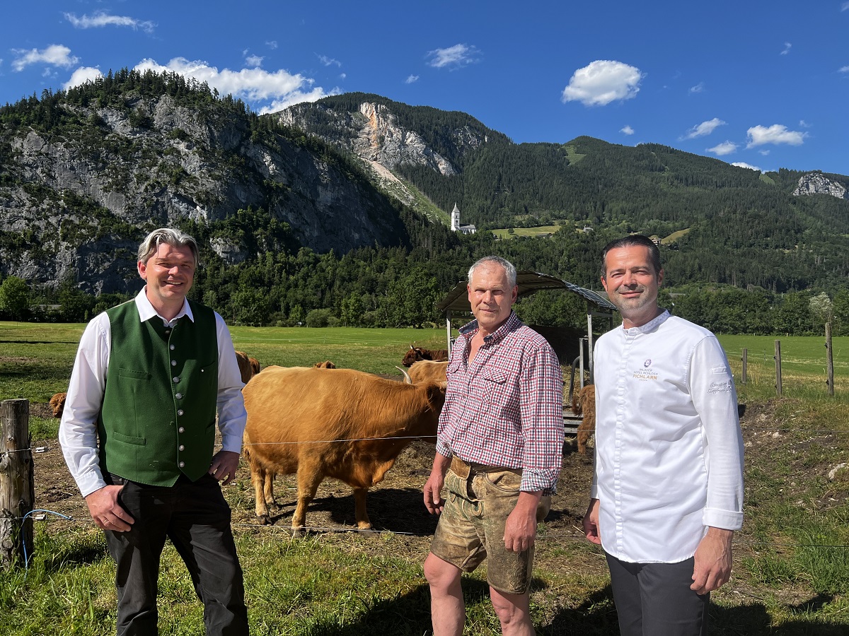 Hochlandrinder Zucht Tasch Steiermark