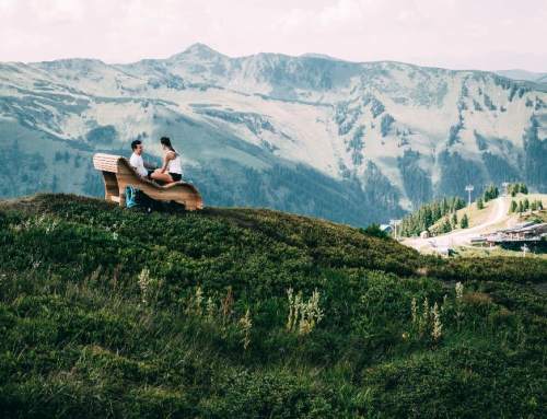 Die Riesneralm im Sommer