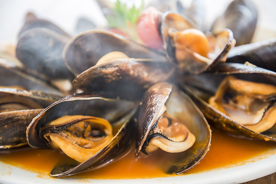 Muschel und Fischtageweb Bild: Miesmuscheln