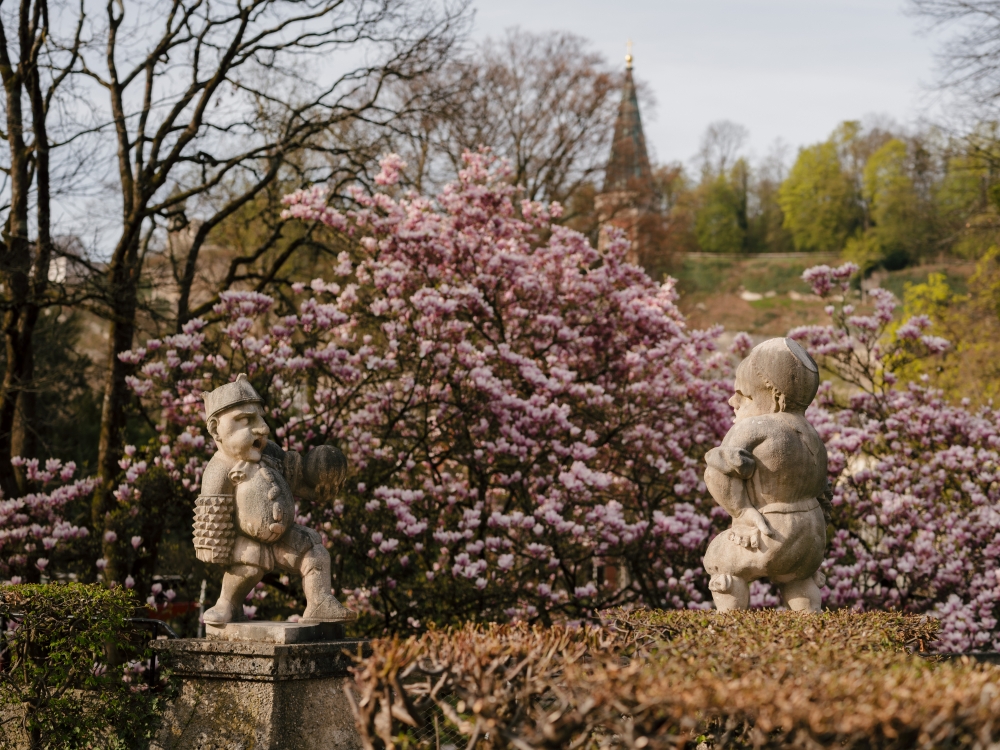 2026_patrese_salzburg-110 web Bild: Zwergerlgarten im Schloss Mirabell