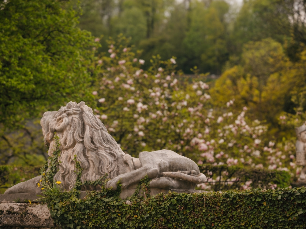 2026_patrese_salzburg-138 Bild: Löwenstatue im Garten von Schloss Mirabell