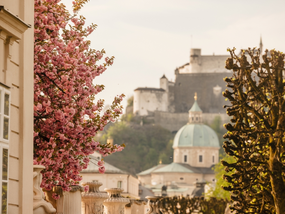 2026_patrese_salzburg-225 Bild: Salzburg mit Festung und Dom