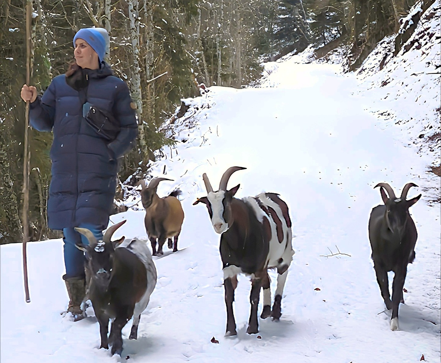Bild: Sandra und Ihre Ziegen bei einer Winterwanderung