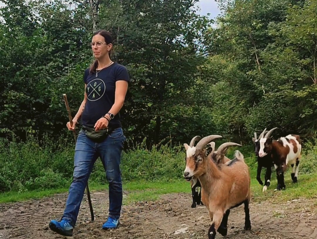 Bild: Ziegenwanderung mit Sandra