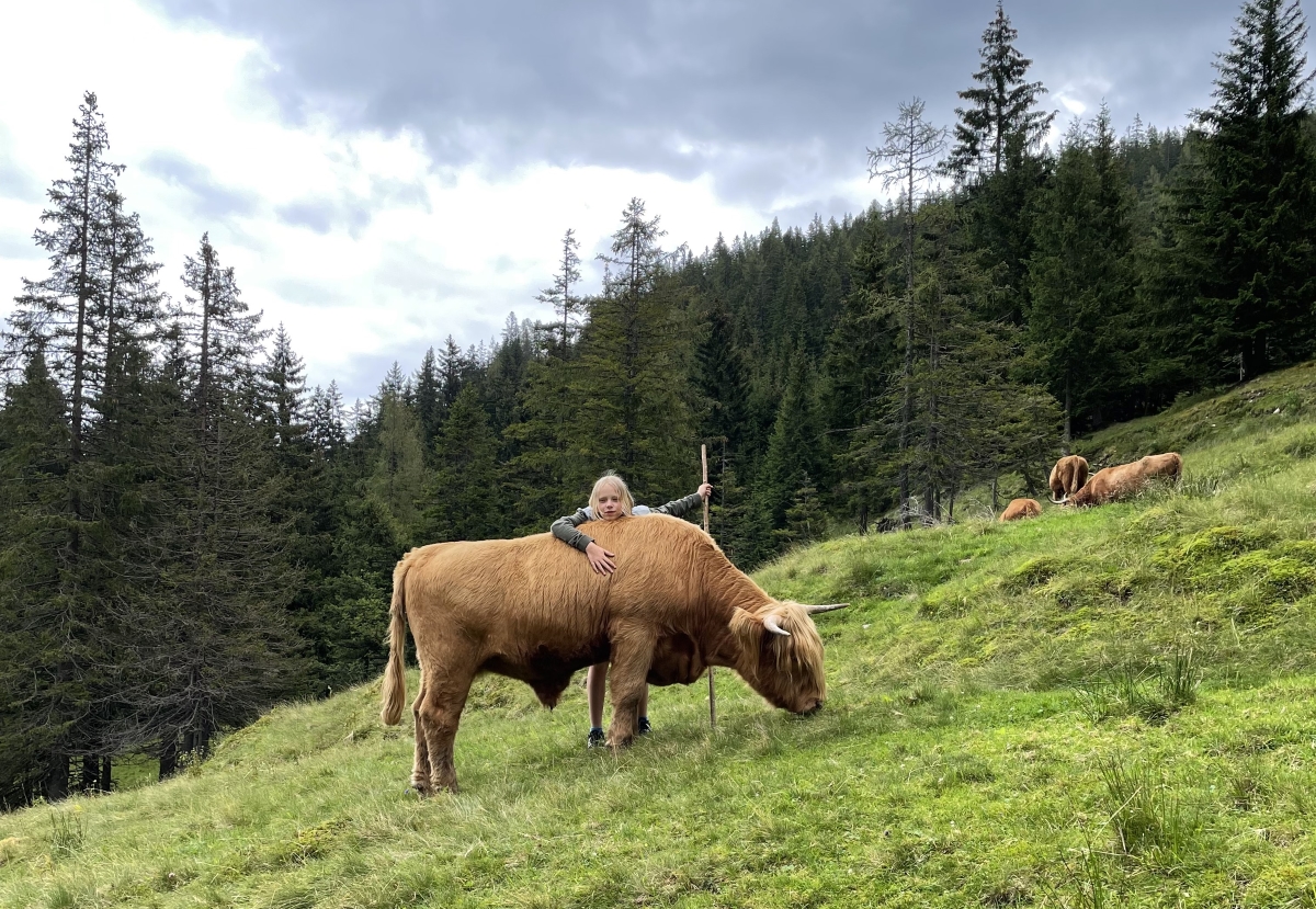 Bild: Kuscheln mit den Happy Highlands auf der Weide