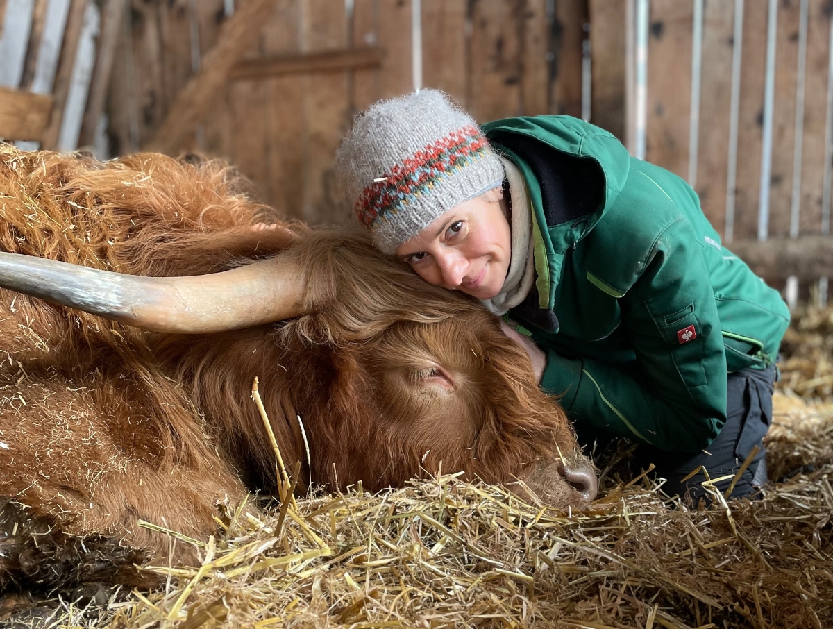 Bild: Kuscheln mit den Happy Highlands im Stall