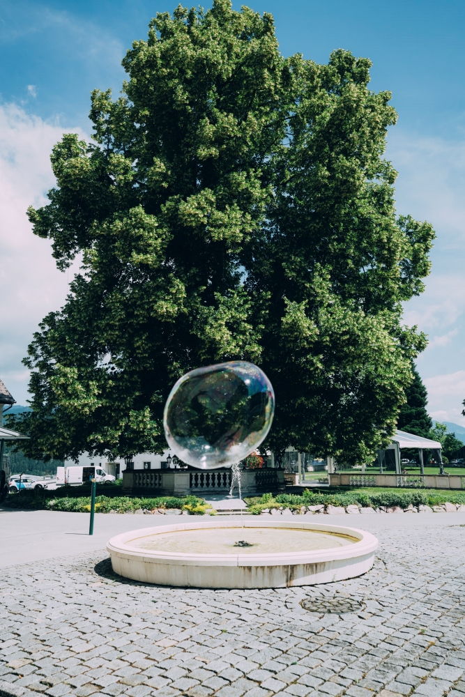 Bild: Soap Bubble Studies von Marlies Plank vor der alten Linde